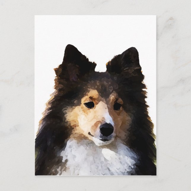 Sheltie Hund målning skiss Vykort (Framsida)