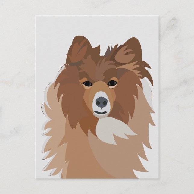 Sheltie Hund  Vykort (Framsida)