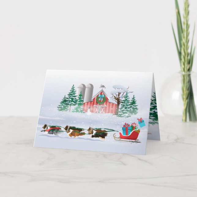 Sheltie Hundar Brown, Black and Grått, Pulling Sle Helgkort (Framsida)