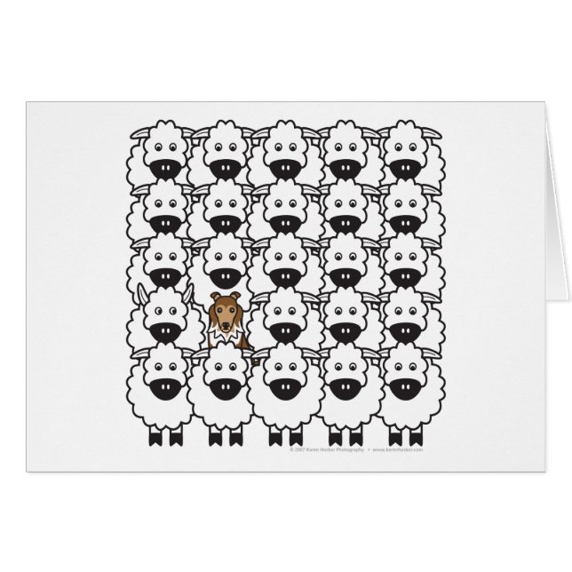 Sheltie i fåren hälsningskort (Framsidan Horizontal)