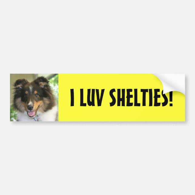 Sheltie I LUV SHELTIES! Bildekal (Framsidan)