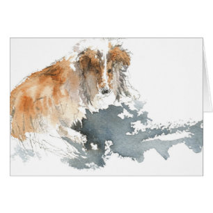 Sheltie i vattenfärg hälsningskort