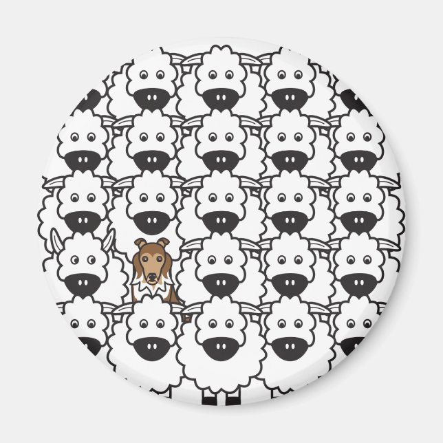 Sheltie in the Sheep Magnet (Framsidan)