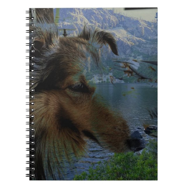 Sheltie Journal Anteckningsbok (Framsidan)