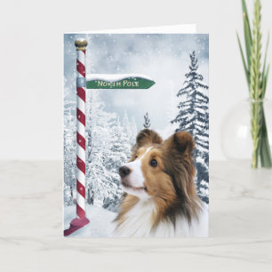 Sheltie jul helgkort