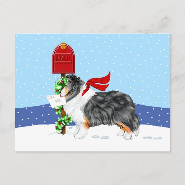 Sheltie jul Mail Tri Färg Helg Vykort (Framsida)