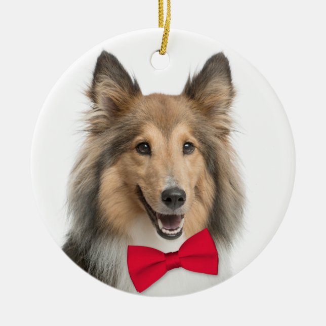 Sheltie jul Ornament (Framsidan)