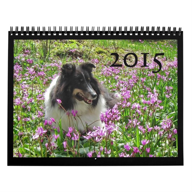 Sheltie kalender 2015 (Omslag)