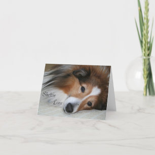 Sheltie Kärlek Kort