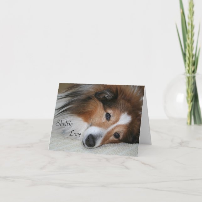 Sheltie Kärlek Kort (Framsida)