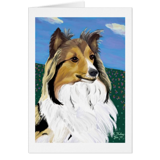 Sheltie kort (Framsidan)