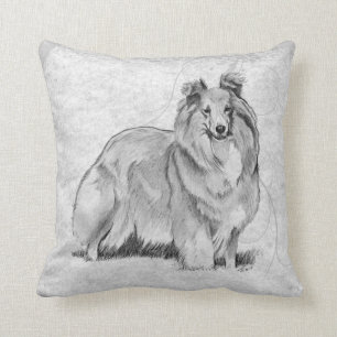 Sheltie Kudde