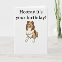 Sheltie leende