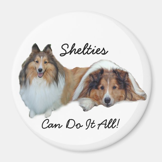 Sheltie Magnet (Framsidan)