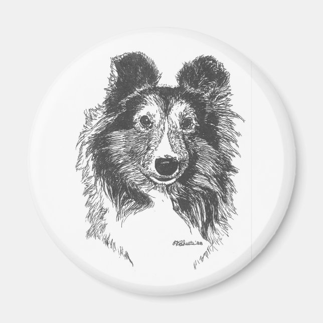 Sheltie Magnet (Framsidan)