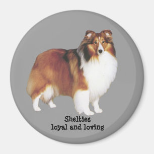 Sheltie magnet