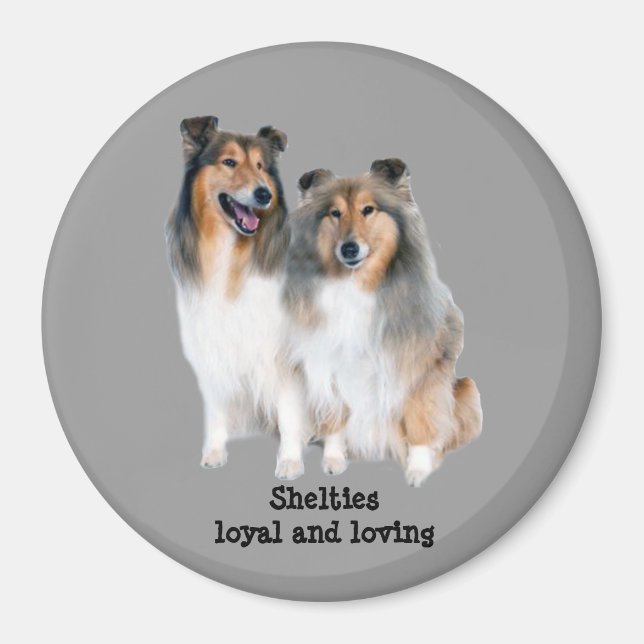 Sheltie Magnet (Framsidan)