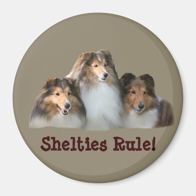 Sheltie Magnet (Framsidan)