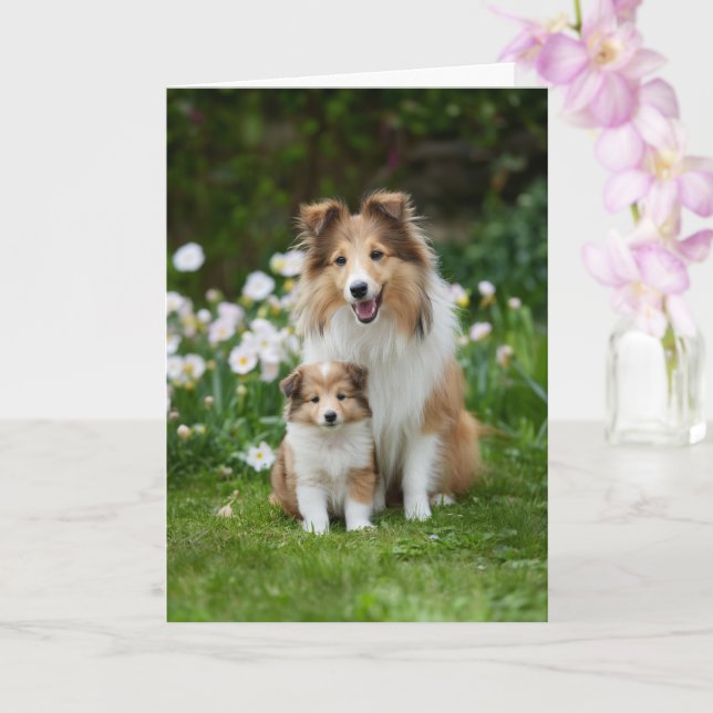 Sheltie Mamma Mors Dag Kärlek Kort (Orkide)
