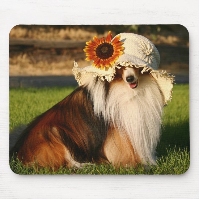 Sheltie med hatten musmatta (Framsidan)