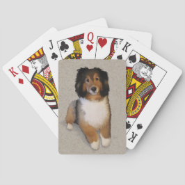 Sheltie mix hund porträtt casinokort