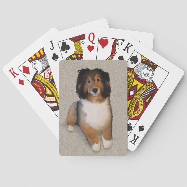 Sheltie mix hund porträtt casinokort (Baksidan)