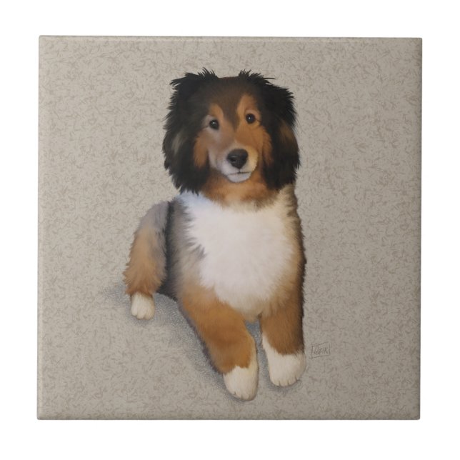 Sheltie mix hundporträtt  kakelplatta (Framsidan)