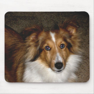 ~ Sheltie Mousepad för Shetland Sheepdog Musmatta