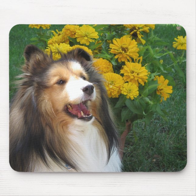 Sheltie Mousepad Musmatta (Framsidan)