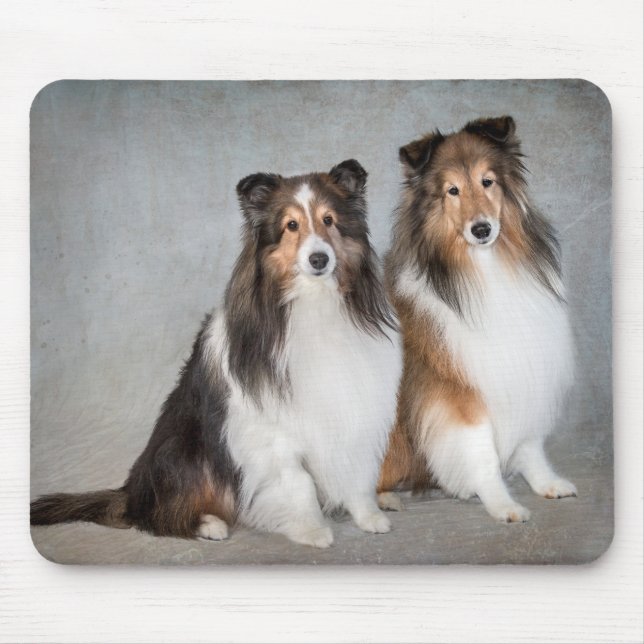 Sheltie Mousepad Musmatta (Framsidan)