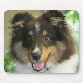 Sheltie Mousepad Musmatta