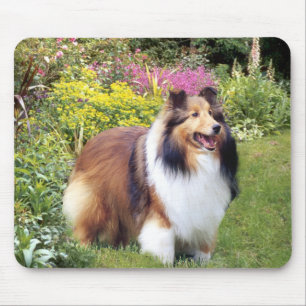 Sheltie Mousepad Musmatta