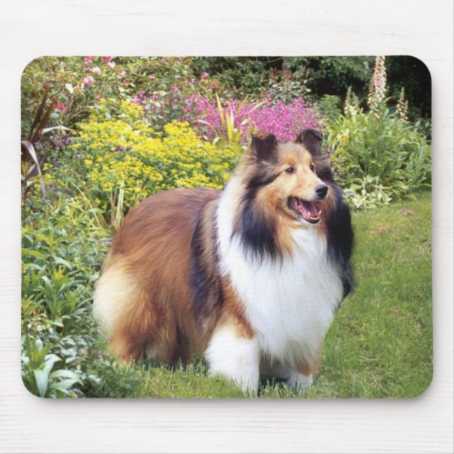 Sheltie Mousepad Musmatta (Framsidan)