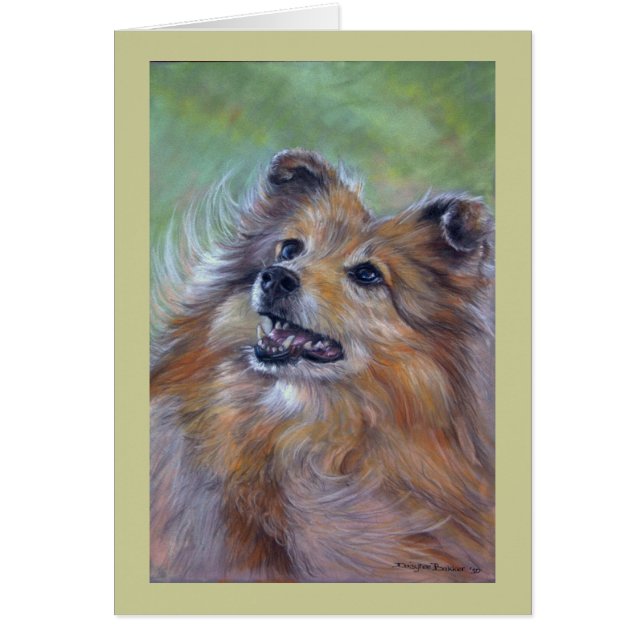 Sheltie OBS Kort (Framsidan)