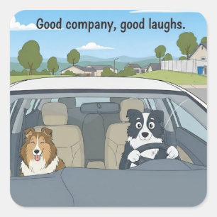 Sheltie och Border collie road trip Fyrkantigt Klistermärke