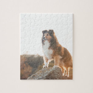 Sheltie på klippaskydd som hörs under solnedgån pussel