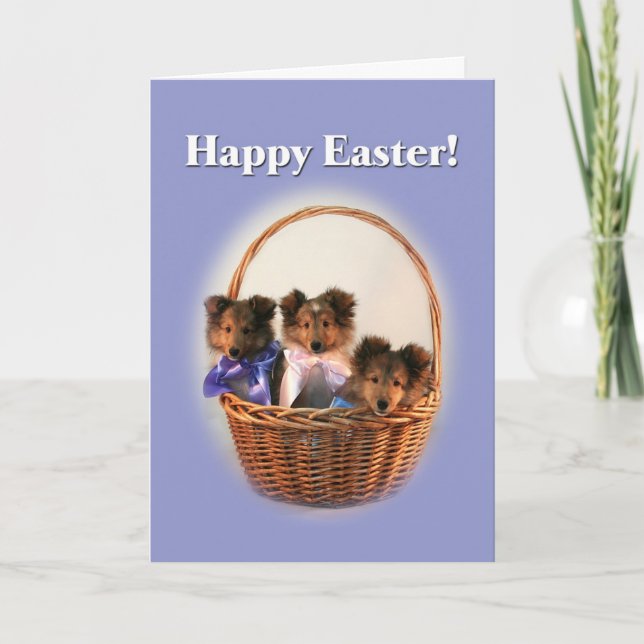 Sheltie Påsk Basket Helgkort (Framsida)