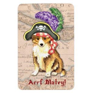 Sheltie Pirat Magnet
