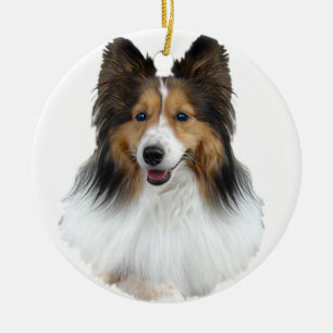Sheltie Porträtt Julgransprydnad Keramik