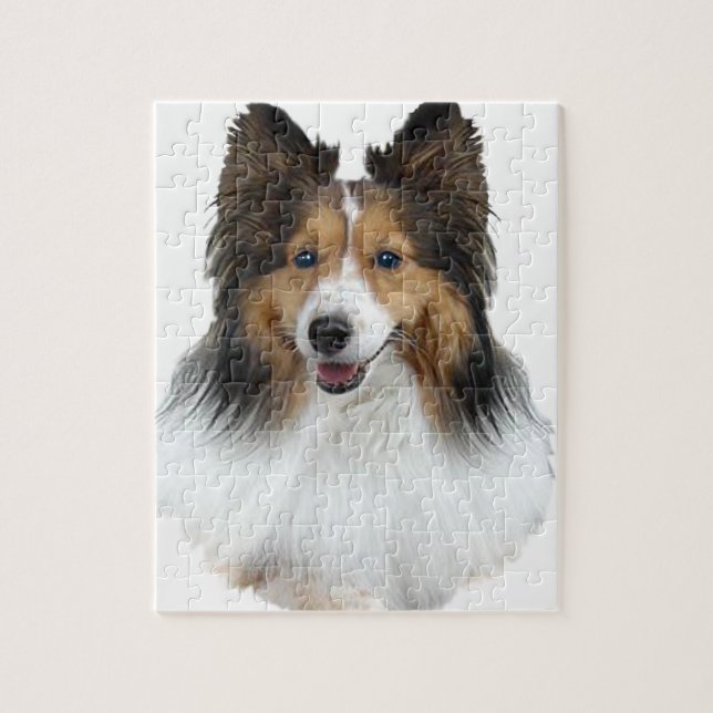 Sheltie porträtt pussel (Vertikal)