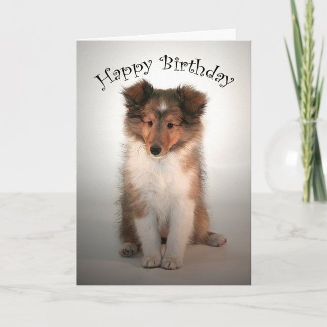Sheltie Puppy Birthday Card Kort (Framsida)