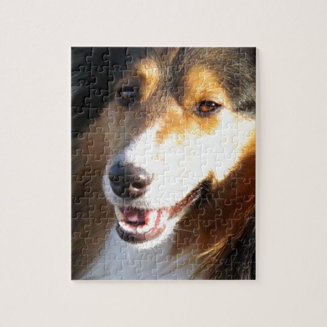 Sheltie Pussel (Vertikal)