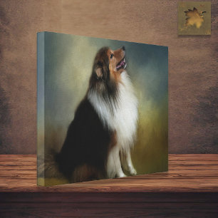 Sheltie Shetland Sheep Hund Canvas
