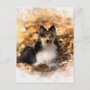 Sheltie Shetland Sheepdog Art Painting Vykort
