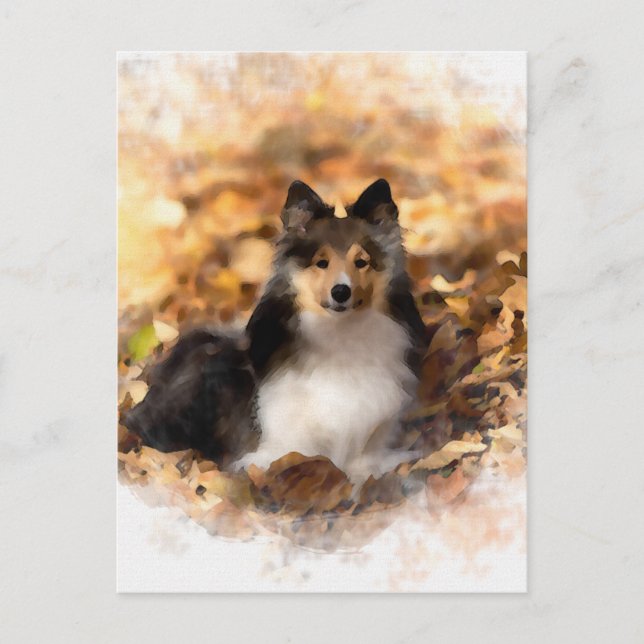 Sheltie Shetland Sheepdog Art Painting Vykort (Framsida)