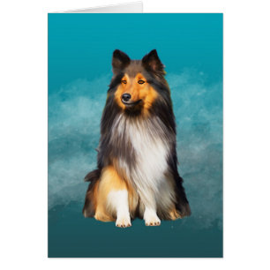 Sheltie Shetland Sheepdog Art Porträtt Hälsningskort