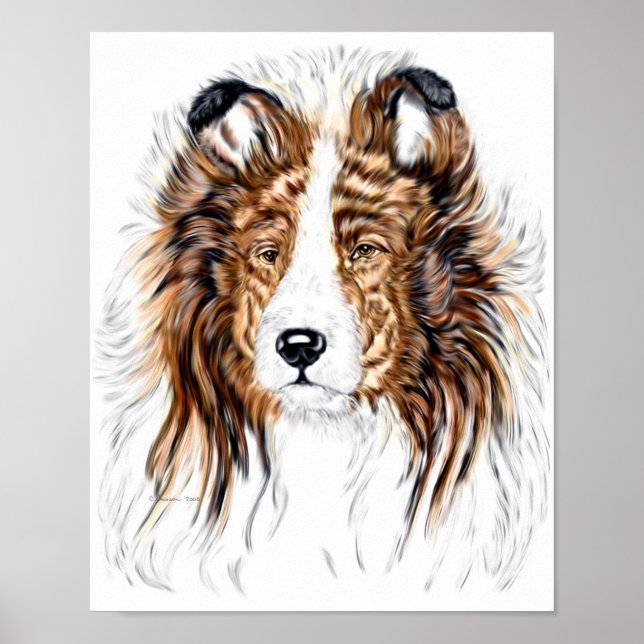 Sheltie Shetland Sheepdog Bust Poster (Framsidan)