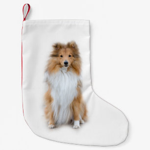 Sheltie Shetland Sheepdog Liten Julstrumpa