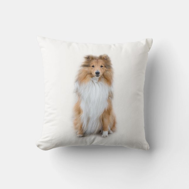 Sheltie Shetland Sheepdog Pillow Kudde (Framsida)