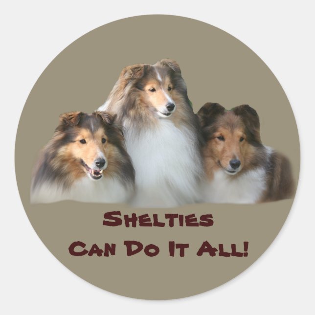 Sheltie Sticker Runt Klistermärke (Framsida)